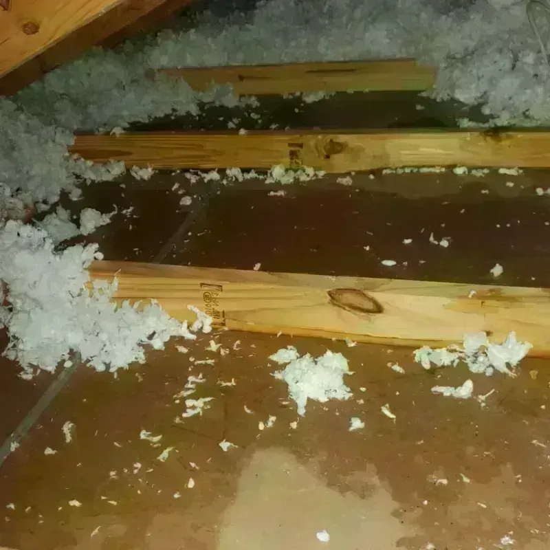 Attic Water Damage in Hamilton County, NE