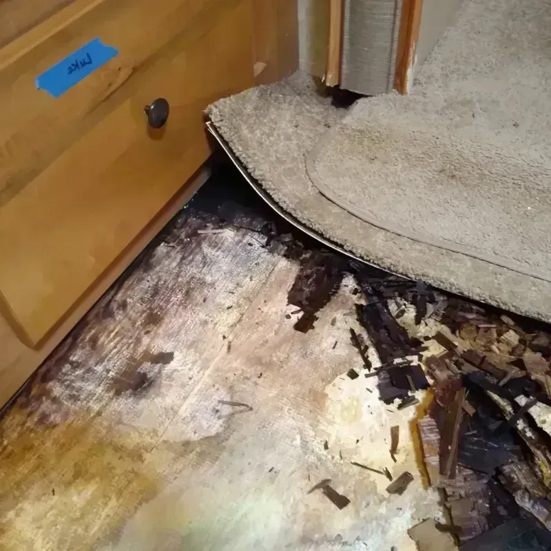 Wood Floor Water Damage in Hamilton County, NE